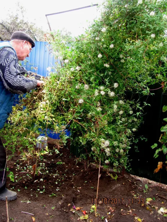 i - 2026-03-31T202358.486