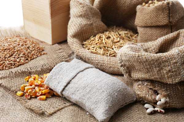 5 правил сбора и хранения семян