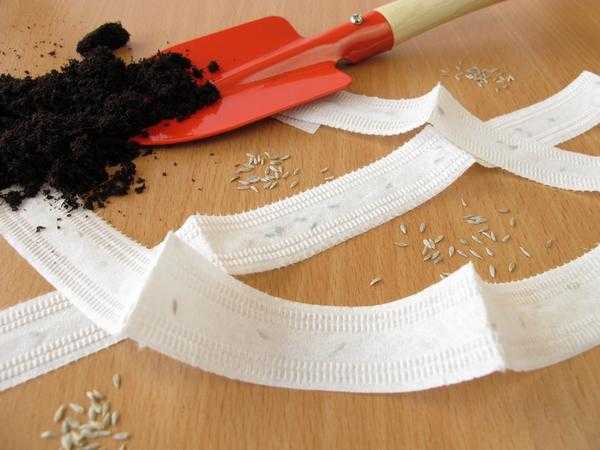 Необычное семя