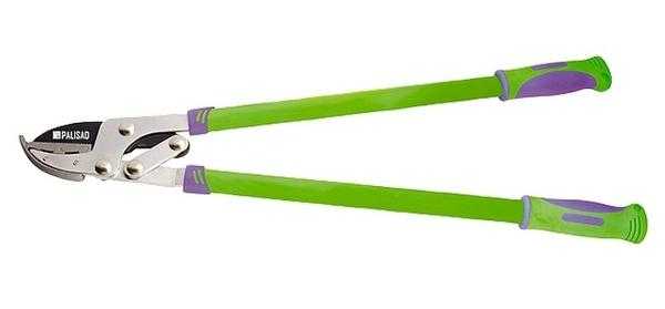 Кустарники, которым нужна осенняя обрезка. Практические советы