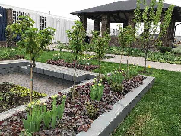 Разновидности деревьев и стандартных кустарников: оптимизация сада