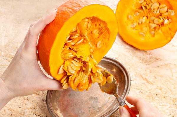 Ваши семена: как вырастить, собрать, сохранить и сберечь