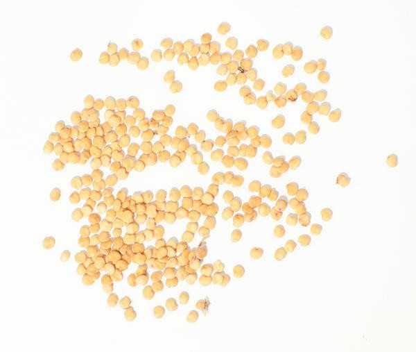 Ваши семена: выращивайте, собирайте, сохраняйте