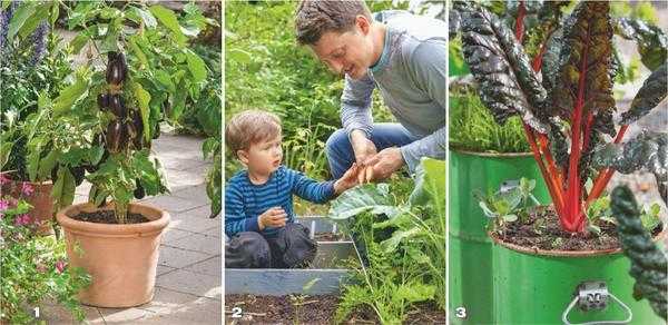 Сад и огород в контейнерах: подбор растений, грунт, полив