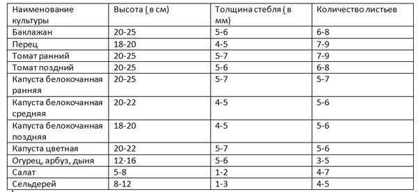 Сроки выращивания овощей в почве и теплице