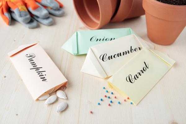 Как выбрать семена: 7 правил