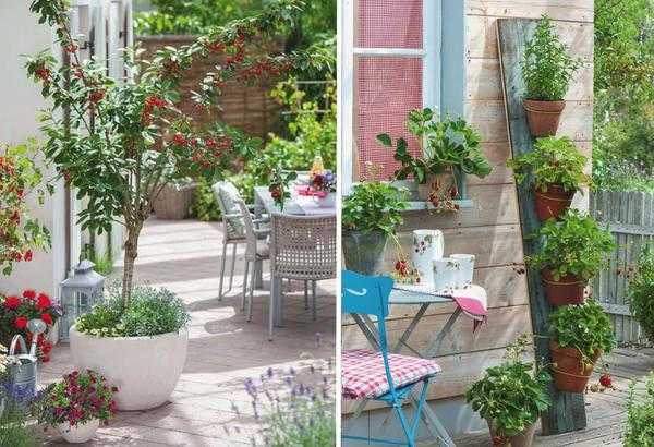 Сад и огород в контейнерах: подбор растений, грунт, полив