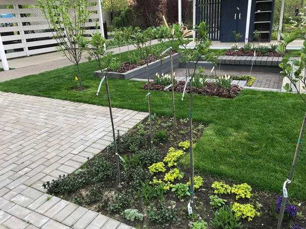 Разновидности деревьев и стандартных кустарников: оптимизация сада