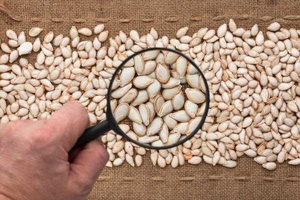 Как выбрать семена: 7 правил