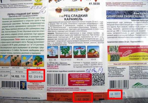 Прошлогодние семена: сеять или выбрасывать?