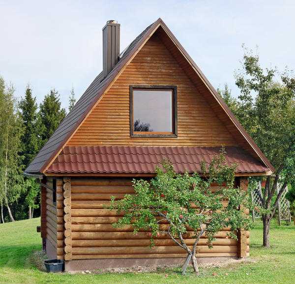 Посадка фруктов: как выбрать сорт для своего сада?