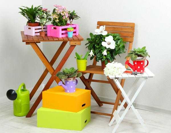 Подкормите домашние цветы натуральным удобрением