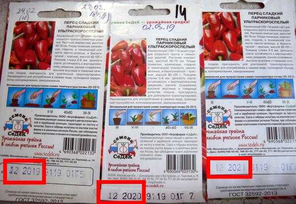 Прошлогодние семена: сеять или выбрасывать?