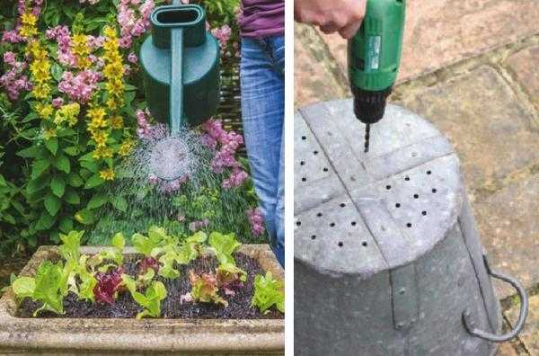 Сад и огород в контейнерах: подбор растений, грунт, полив