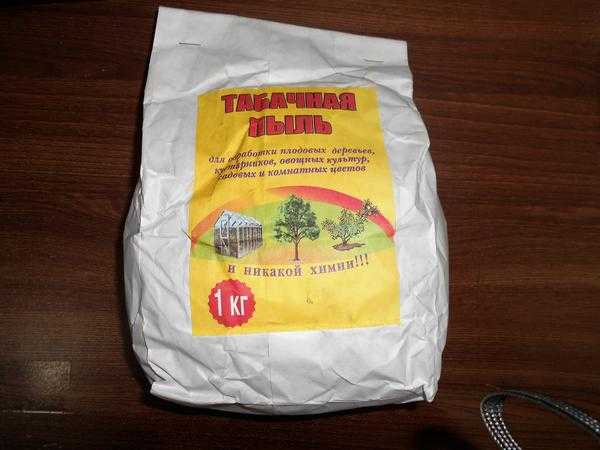 Малиновый жук. Меры борьбы: методы выращивания, народные средства, препараты.