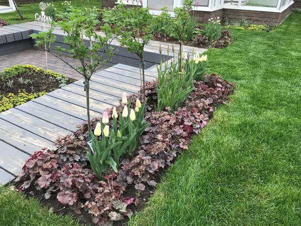 Разновидности деревьев и стандартных кустарников: оптимизация сада