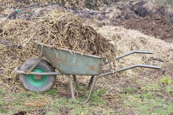 Органические и минеральные удобрения: выбор или баланс