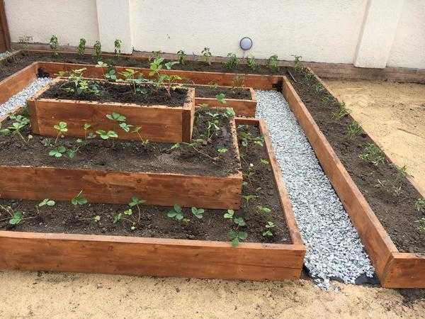 Интересные дизайны клумб