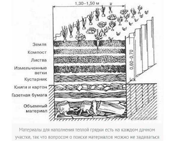 Интересные дизайны клумб