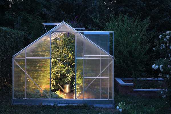 Ясли для детей младшего возраста: выращивание нового или совершенствование старого?