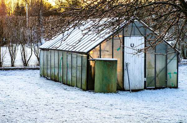 Ясли для детей младшего возраста: выращивание нового или совершенствование старого?