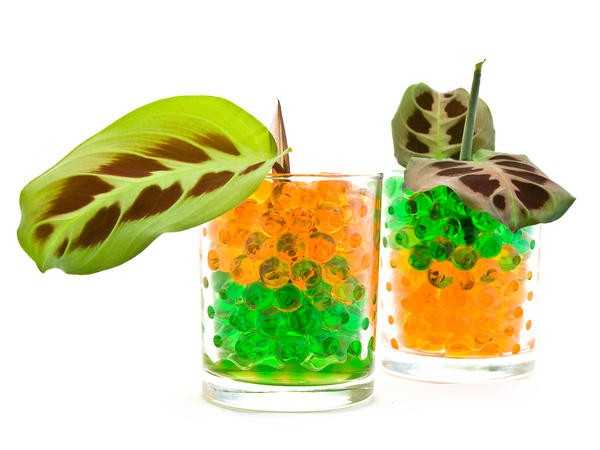 Как поливать домашний огород