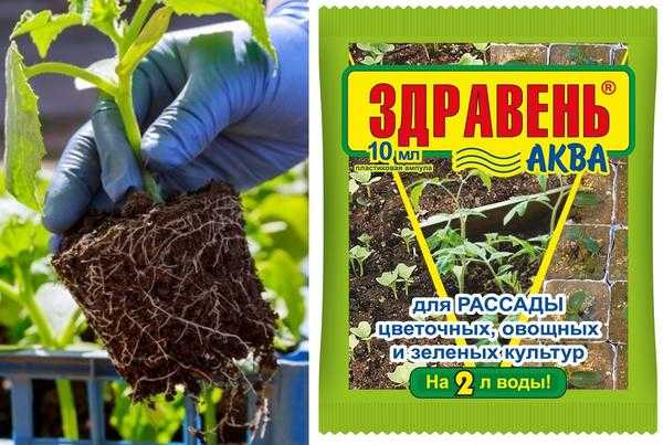 Что необходимо иметь под рукой при посадке рассады. Комплект пружин для проращивания