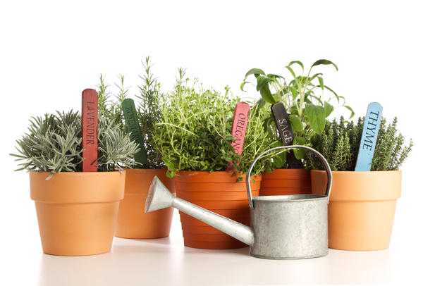 Особенности полива домашних огородов