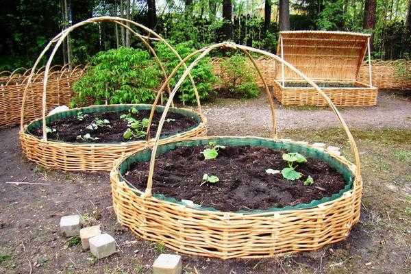 Интересные дизайны клумб