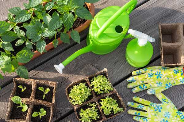 Которые будут готовы при посадке молодых растений. Весенняя аптечка для садоводов