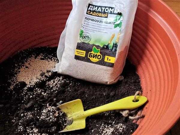 Овощной сад на окне - что нужно для выращивания овощей и зелени в домашних условиях