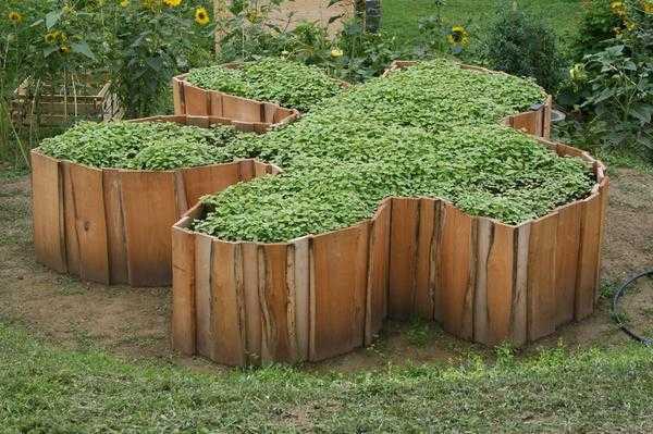 Интересные дизайны клумб