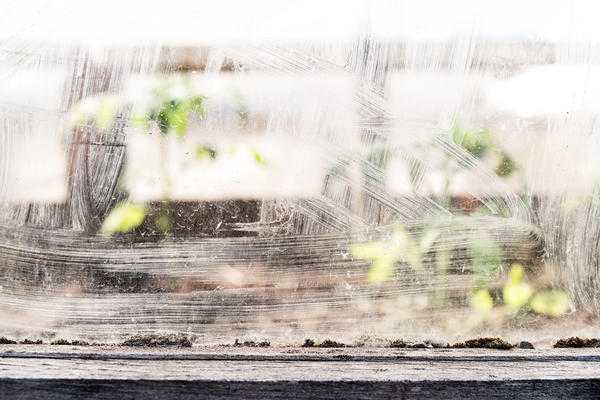 Подготовка теплиц и питомников к весне: обзор материалов для 