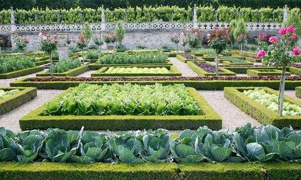 Интересные варианты кроватей