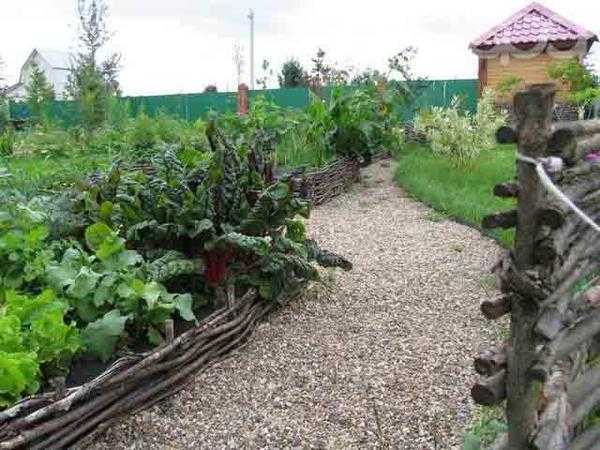 Интересные дизайны клумб