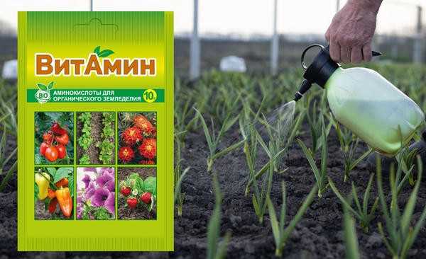 Зачем растениям нужны аминокислоты. 5 причин улучшить свое питание