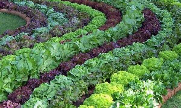 Интересные конструкции кроватей