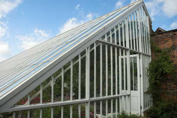 Ясли для детей младшего возраста: выращивание нового или совершенствование старого?