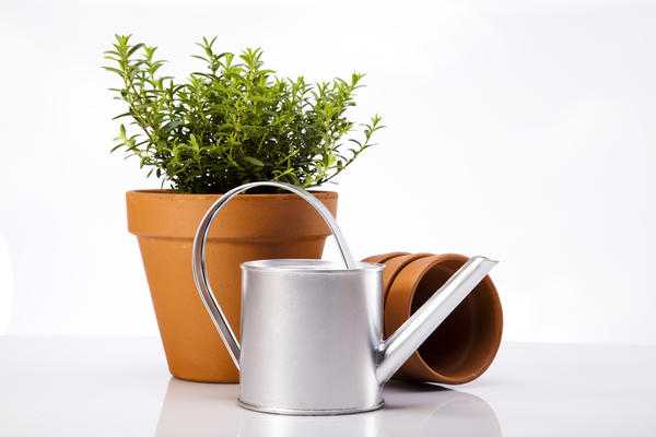 Как поливать домашний огород