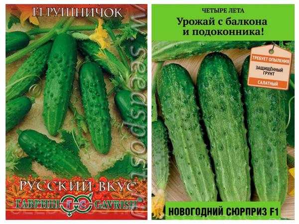 Долгий путь к весне: 10 сортов огурцов для выращивания на подоконнике