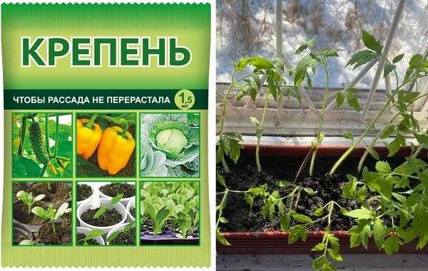 Что необходимо иметь под рукой при посадке рассады. Комплект пружин для проращивания