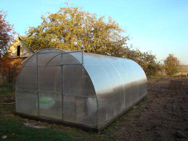 Теплица для раннего урожая: строить новую или улучшать старую?