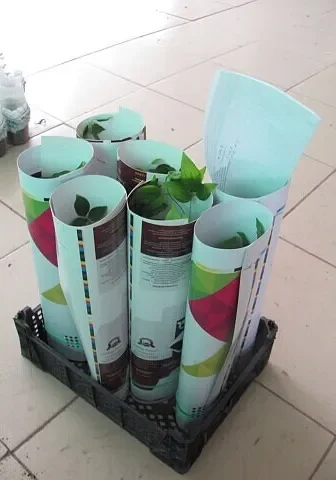 i - 2026-03-26T201814.642