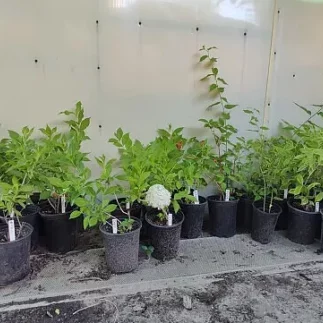 i - 2026-03-31T202541.068